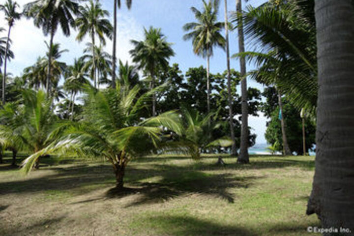Property Grounds 58 of 63
