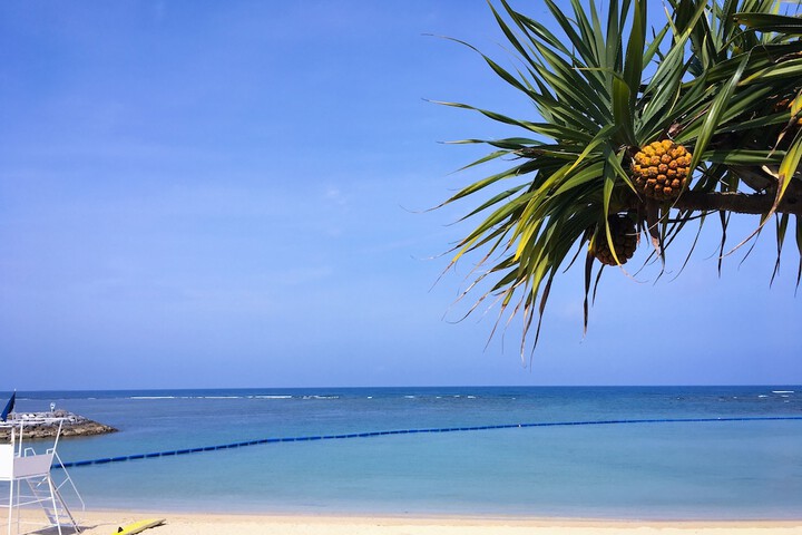 Beach 191 of 193