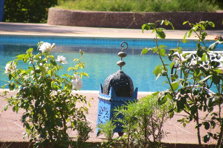 Pool 19 of 43
