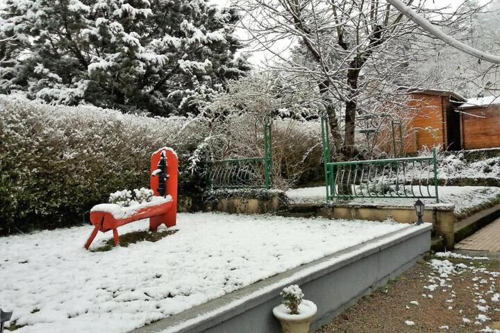 Photo 8