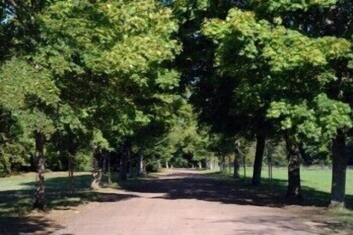 Property Grounds 32 of 40