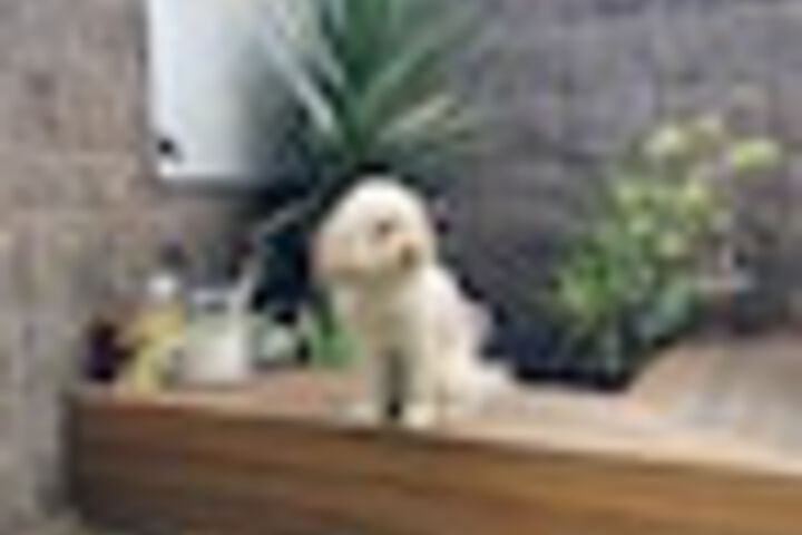 Terrace/Patio 155 of 243