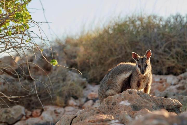 Outdoor Activities 10 of 25