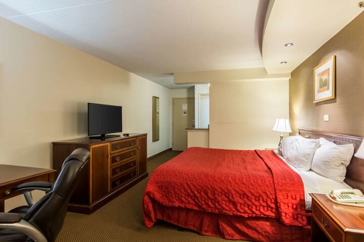 Standard | King Bed (3 of 6)