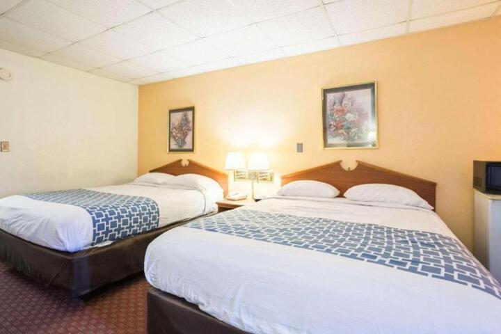 Suite Photo