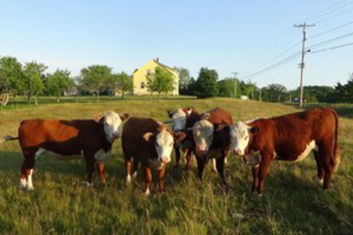 Property Grounds 13 of 14