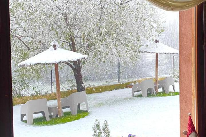 Photo 6