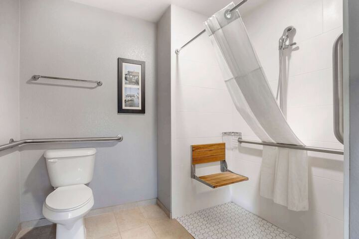 1 King Bed Suite (10 of 21)