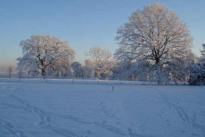 Property Grounds 15 of 18