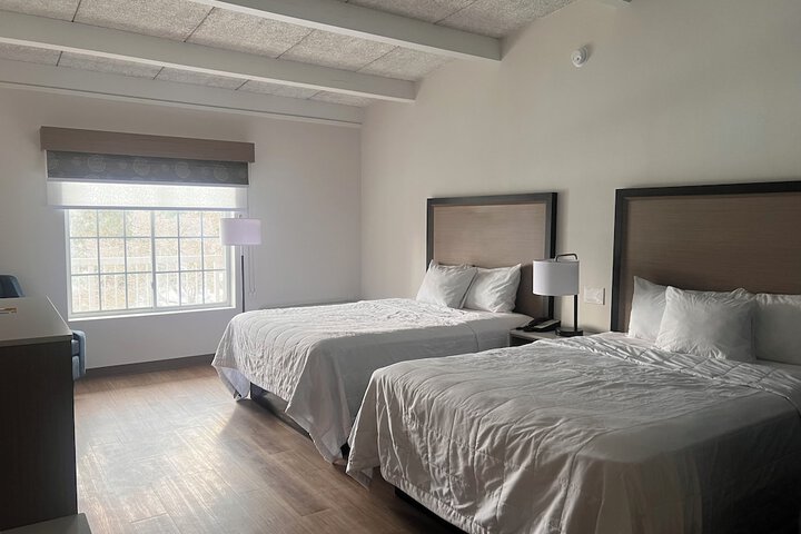 Room 15 of 31