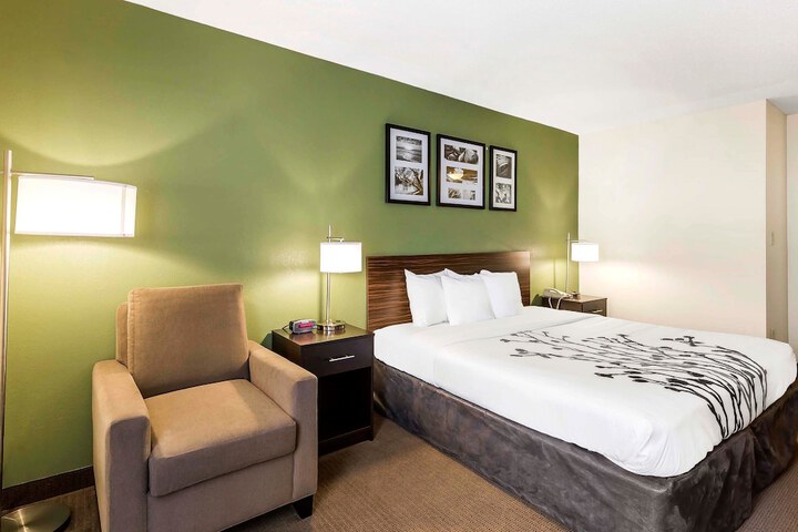 1 King Bed (4 of 8)