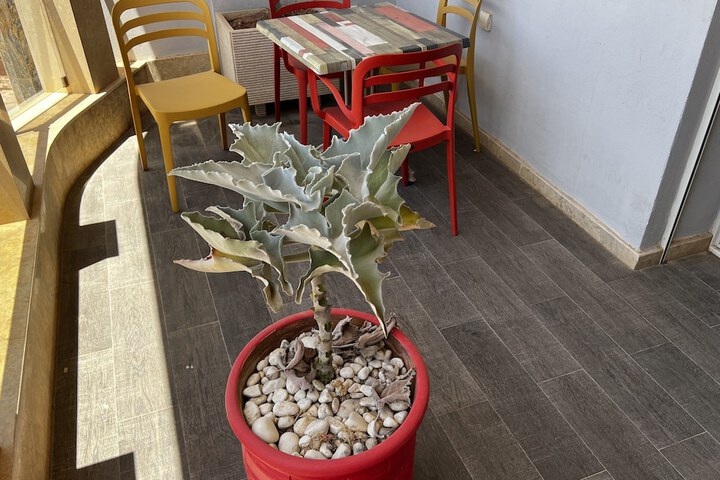 Terrace/Patio 28 of 47