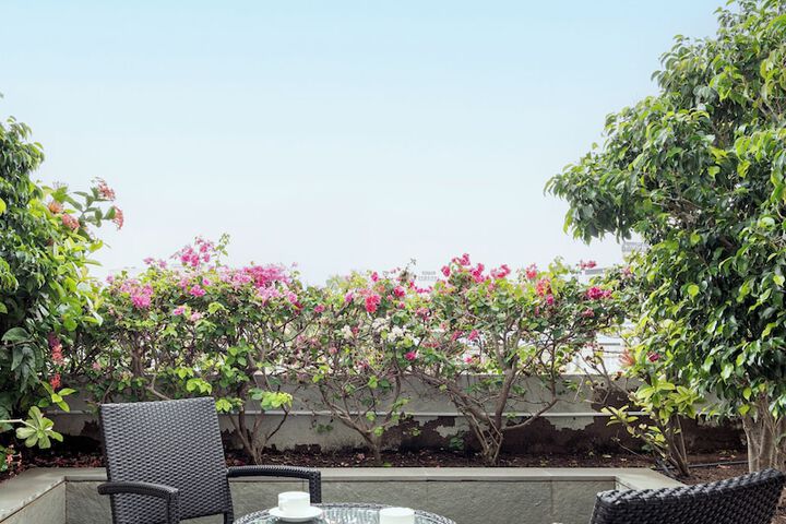 Terrace/Patio 48 of 50