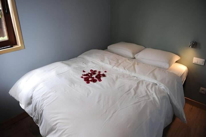 Room 4 of 41