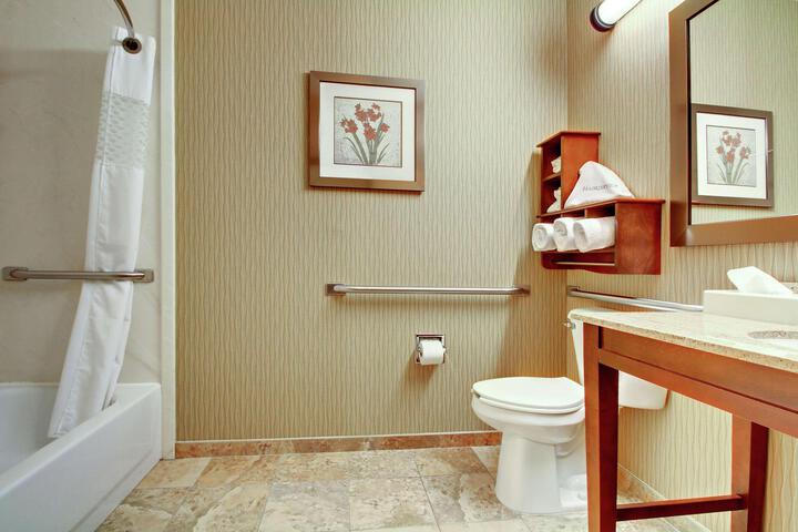 1 King Hearing Accessible with Sofa Bed (15 of 16)