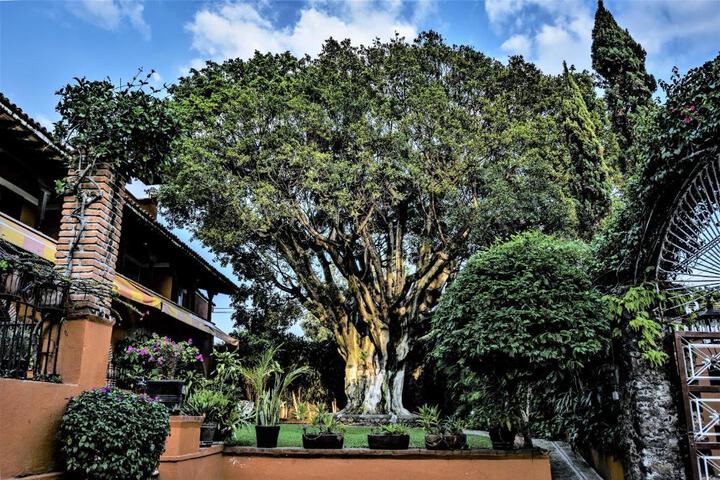 General 18 of 57