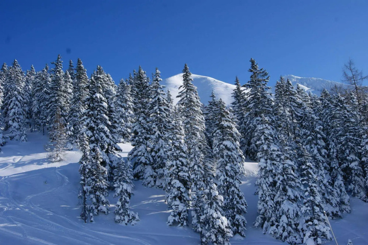 General 17 of 27