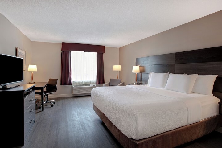1 King Bed Accessible (3 of 13)