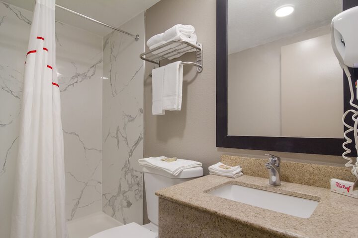 ADA Accessible Deluxe 2 Queen Beds with Roll in Shower (1 of 10)
