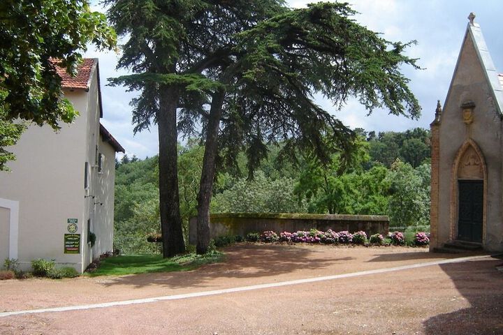 Photo 10