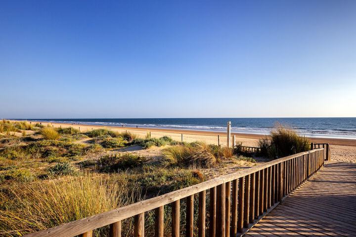 Beach 48 of 65