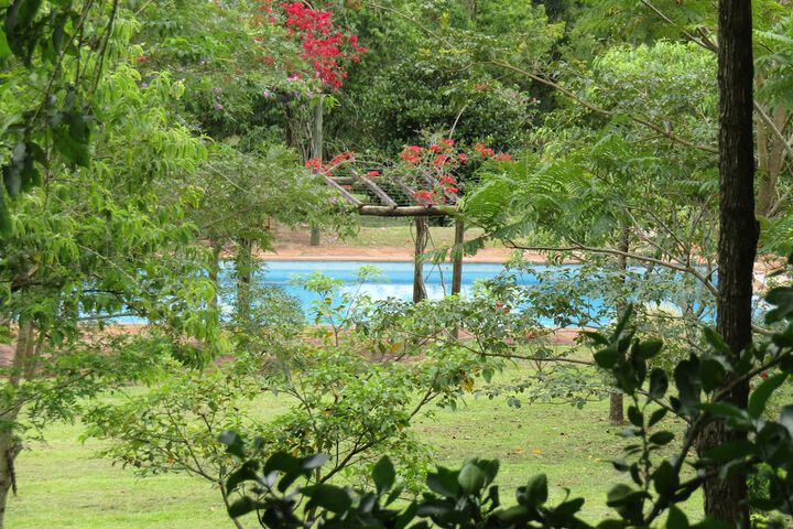 Pool 11 of 24