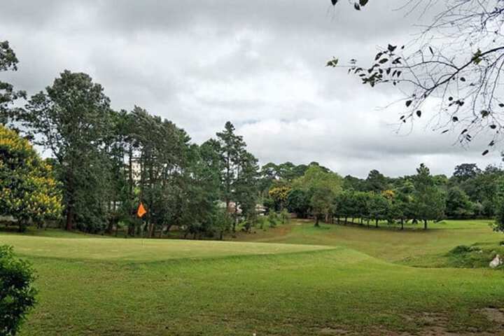 Golf 15 of 36