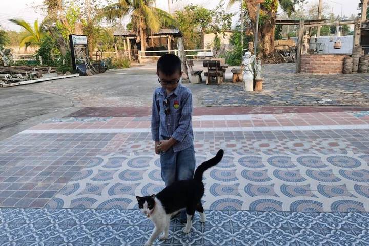 Pet Friendly 78 of 308