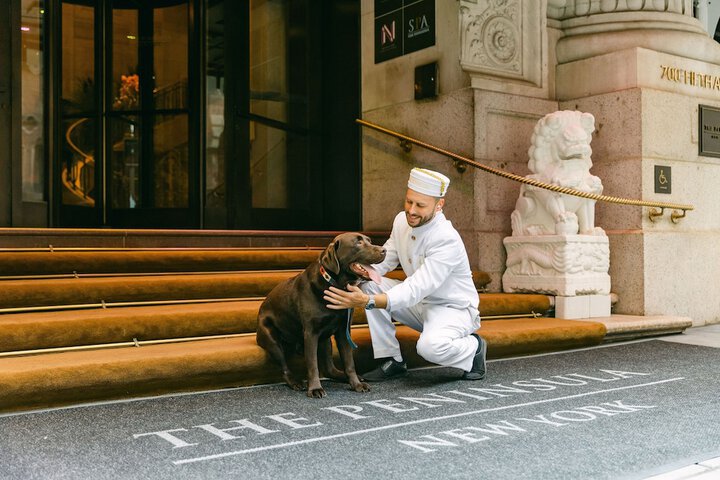 Pet Friendly 75 of 101