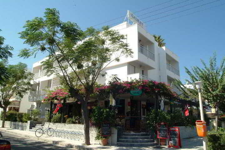 Photo 4