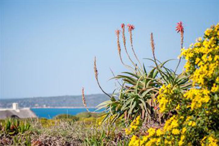 Property Grounds 24 of 28