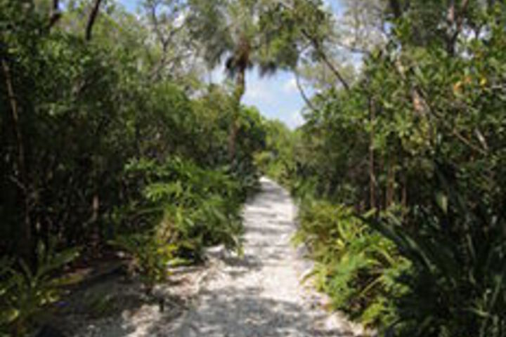 Property Grounds 161 of 172