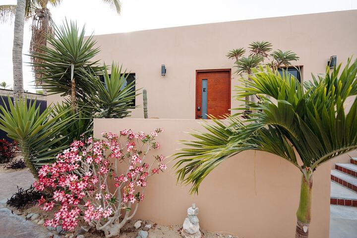 Terrace/Patio 14 of 39