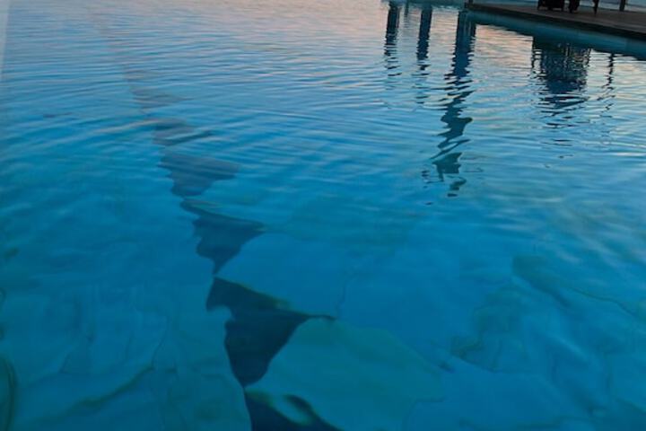 Pool 81 of 134