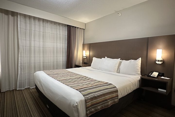 1 King Bed (8 of 12)