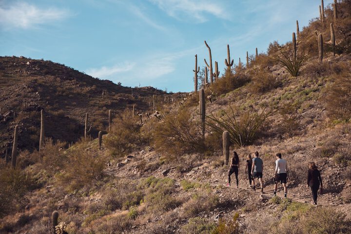Hiking