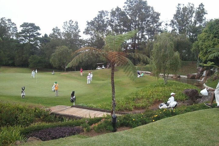 Golf 27 of 51