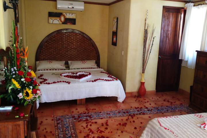 Room 3 of 59
