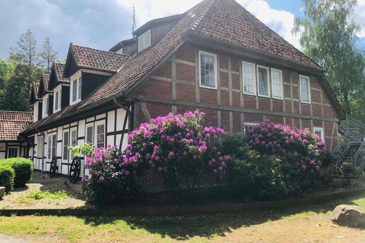 Spa and Wellness Pictures