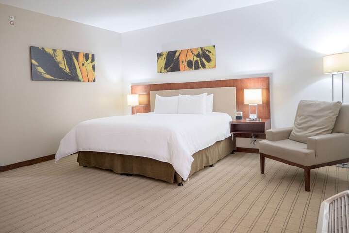 Room 13 of 65