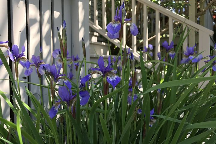 Hotel Exterior 52 of 63