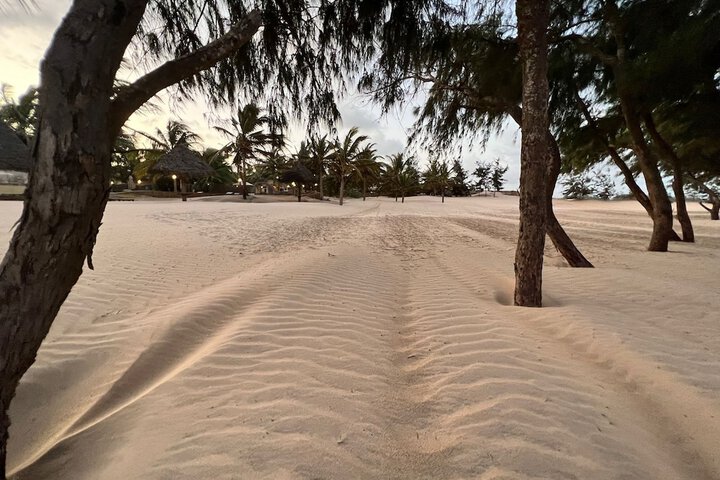 Beach 15 of 18
