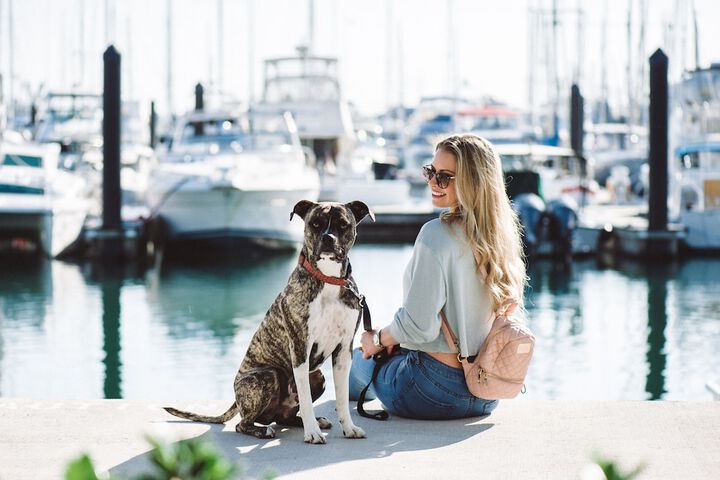 Pet-friendly