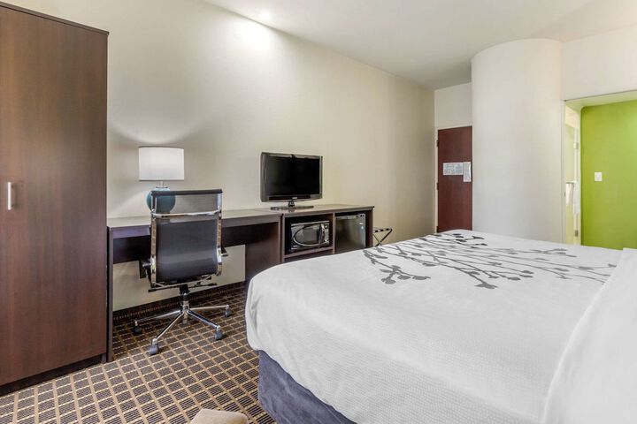 1 King Bed (4 of 7)