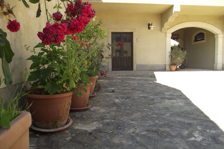 Hotel Exterior 66 of 94