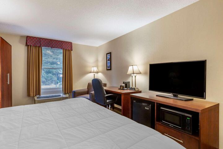 1 King Bed Accessible (15 of 15)