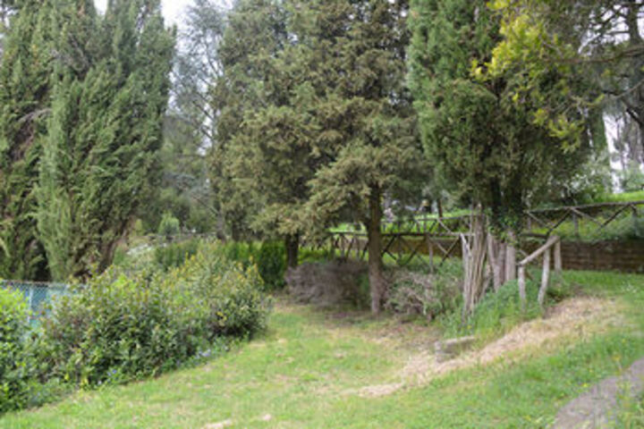 Property Grounds 66 of 76