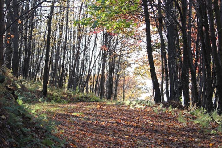 Hiking