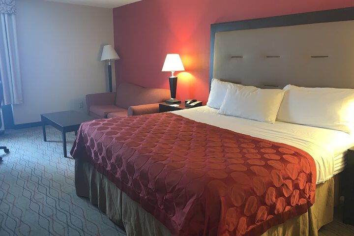 1 King Bed (2 of 3)