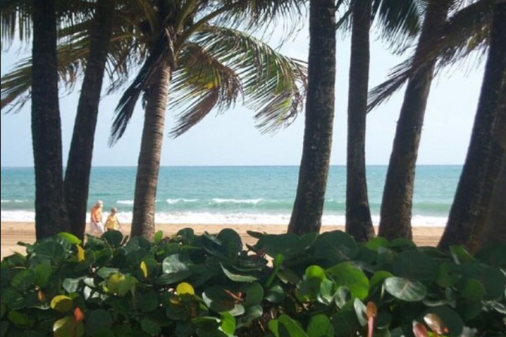 Beach 59 of 66
